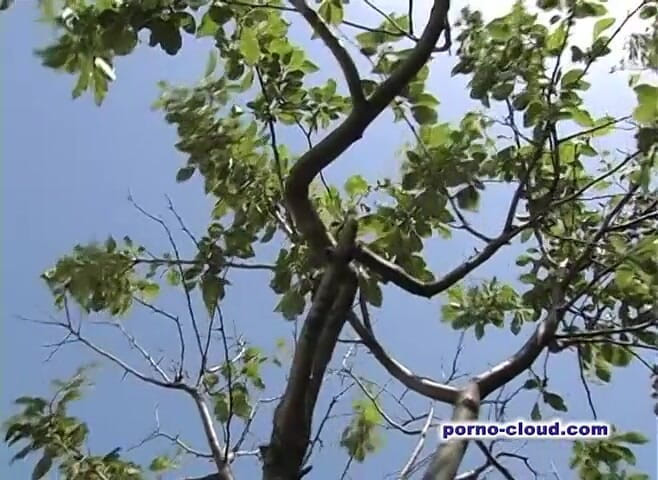 Porno Cloud: Village sexo ao ar livre