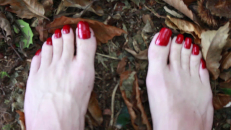 Lilly Disgrace: 숲속의 산책