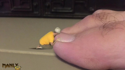 Manlyfoot: These Toes Were Made for Licking - Nourish Your Tiny Body...