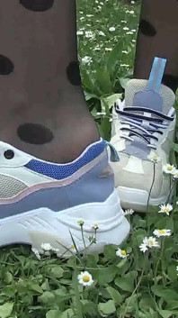 What Is the Most Beautiful Daisy?