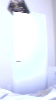 Nacho Vidal's Big Cock for Valery Kay