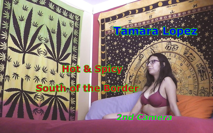 Average Joe Says Lets Fuck: Tamara Lopez - Sexy a pikantní jižně od boarder 2. kamera