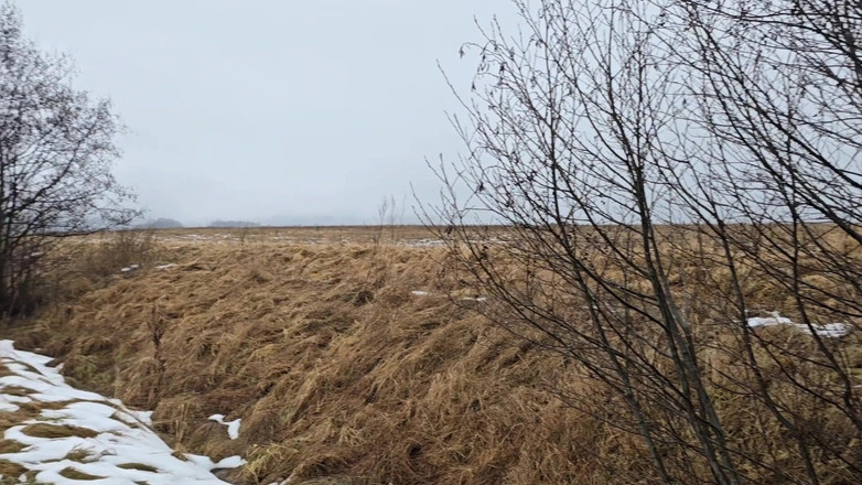 Alpha pee king: Een Beetje Risicovol Plassen - POV Man Buitenshuis Plassen Tijdens Een...