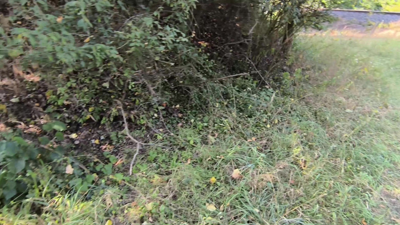 Bouncy Tits Action: Titslapping World Record Trainig 2 - 9 of 18 - 4230 Slaps