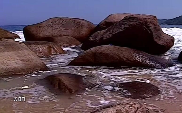 Weird & Bizarre: Bisex beach fest 2 scenes in 1