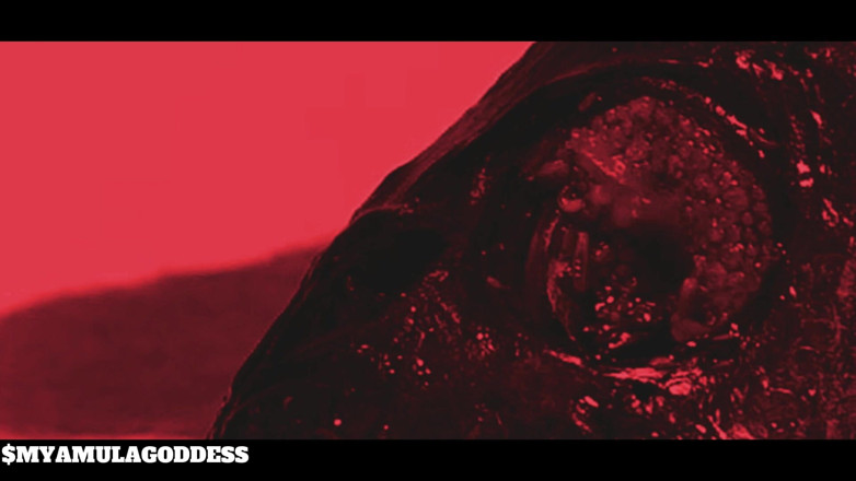 Mya Mula Goddess: Jump Scare JOI