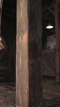 Trinity's First Time with Electricity