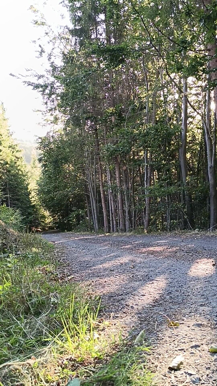 kickerscooter: Penunggang skuter melancap di luar