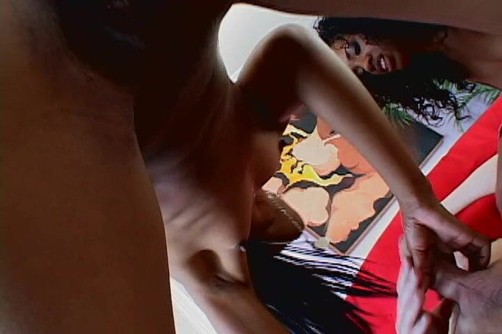 Perfect Porno: Чернокожие шлюхи обожают бурить секс в тройничке