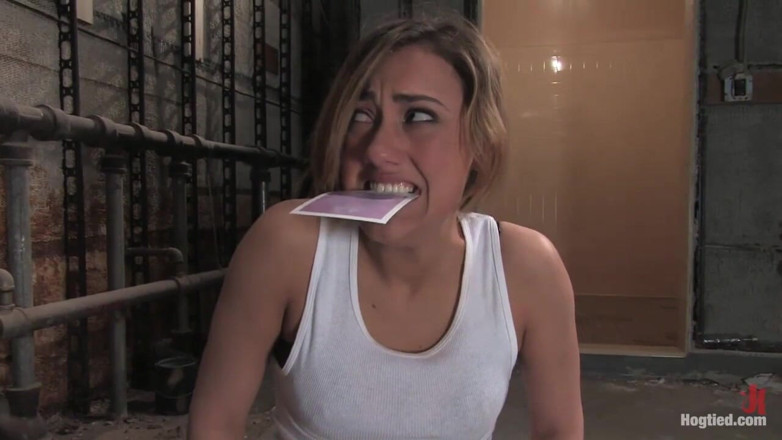 Hogtied by Kink: If You're a Hot, Sexy Construction Worker Working in the...