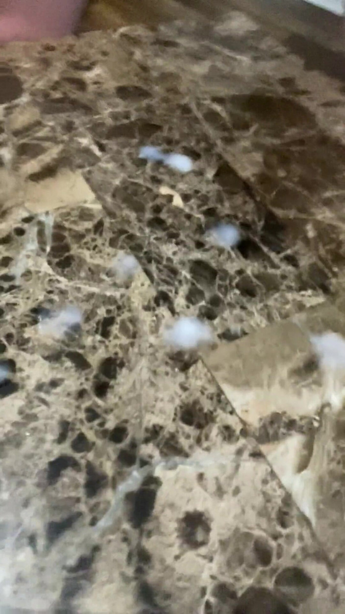 RealBigDill: Alimentándote putas hambrientas de polla y putas sedientas