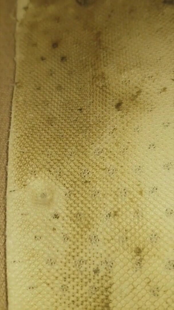 Simp to my ebony feet: come and look inside my dirty 3 days worn trainers