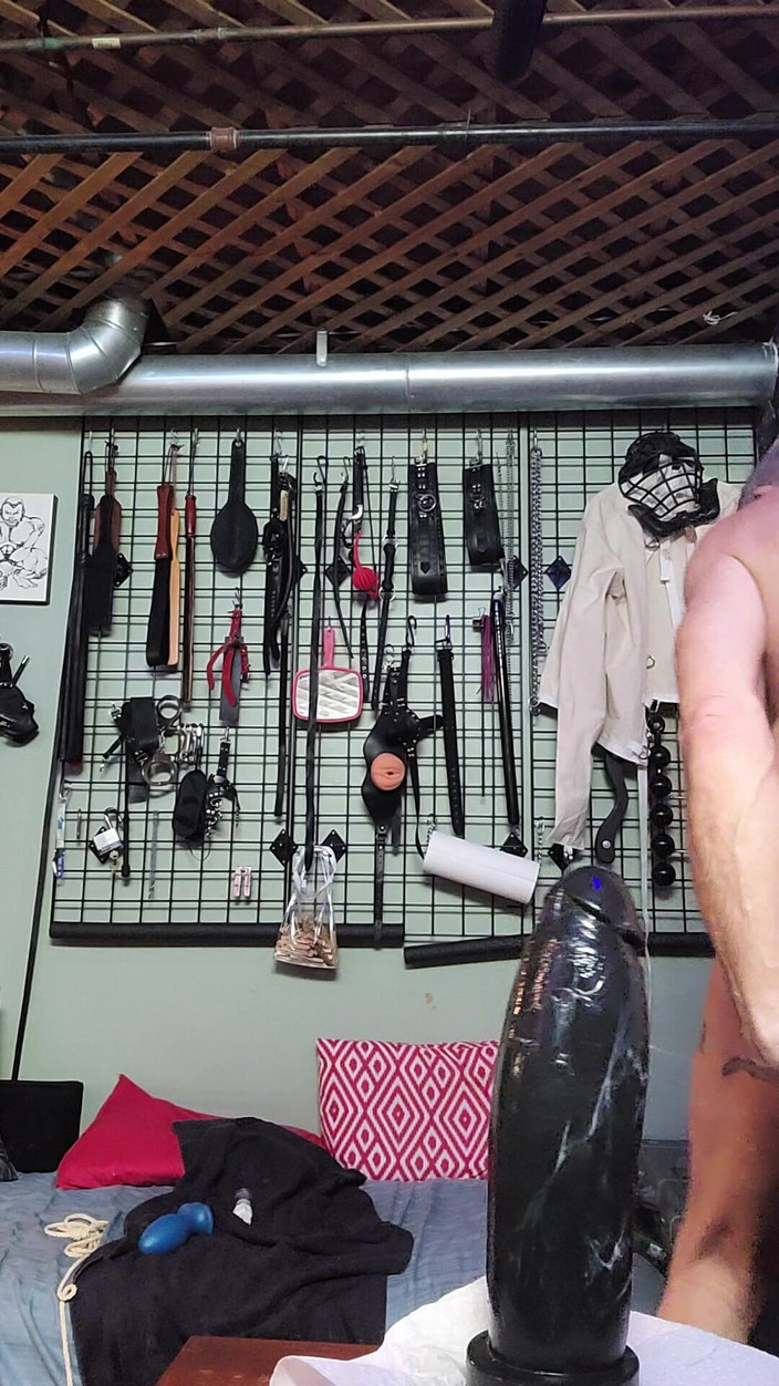 City hog: Velký monster dong