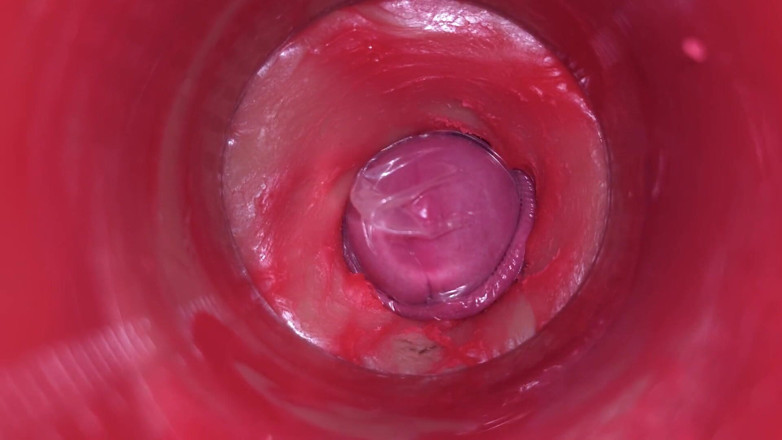 Ladybottox: Camera Inside Pussy: Powerfull Cum in Pussy! Best Internal Asmr