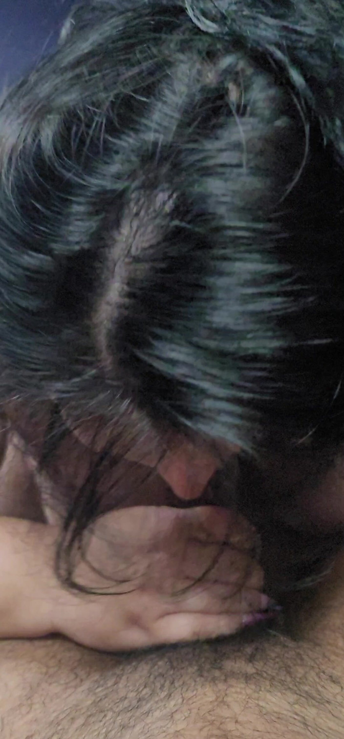 Dahus: Stephania dando