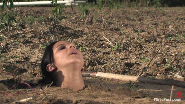 Wired Pussy by Kink: Style Nadia