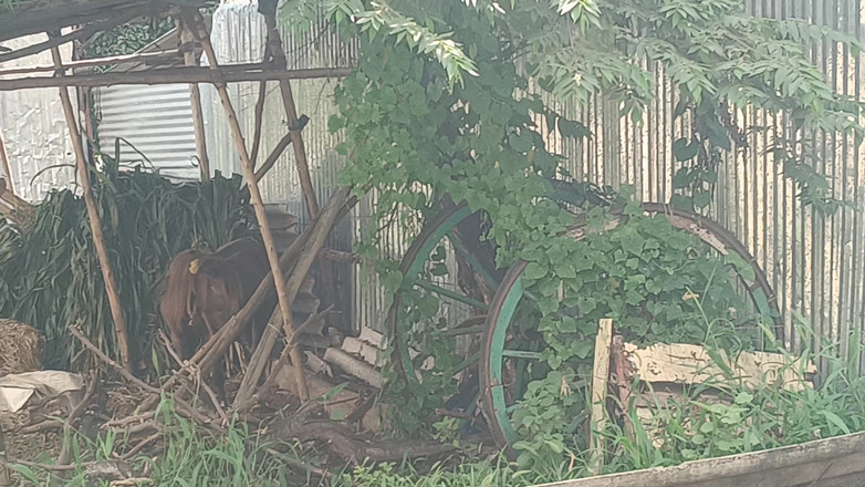 Inba: आउटडोर चुदाई