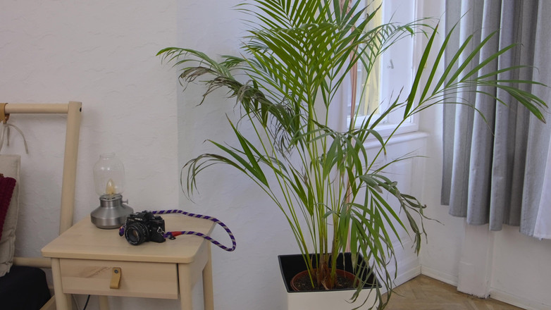 Alex Goes: 2 crot di dalam memek cewek mungil latina bagian 1