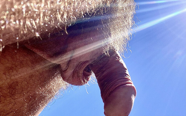 Placer_macho: Controllare Che Tutto Sia in Ordine Nel Lavoro.