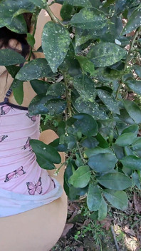 Contadina latina mangia lo sperma del suo vicino all'aperto pubblico