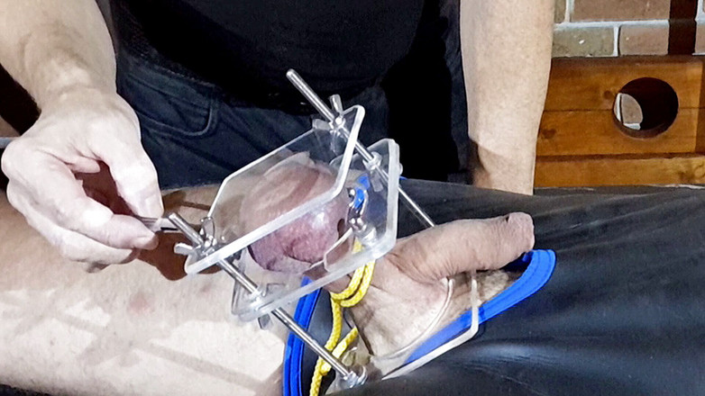 Master Drex: Taşaklar için oyuncak