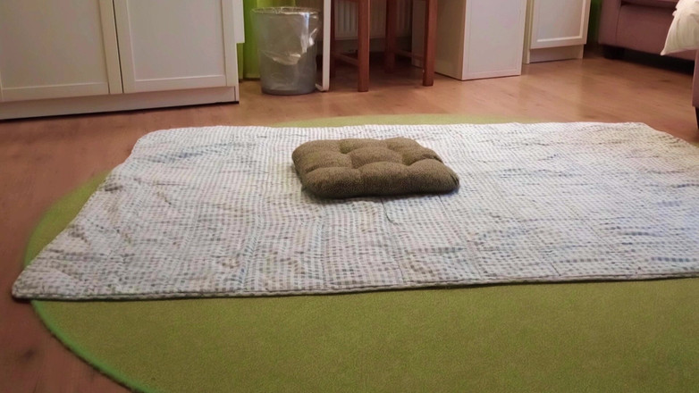 Mark Hannes: Трах подушки с мастурбацией