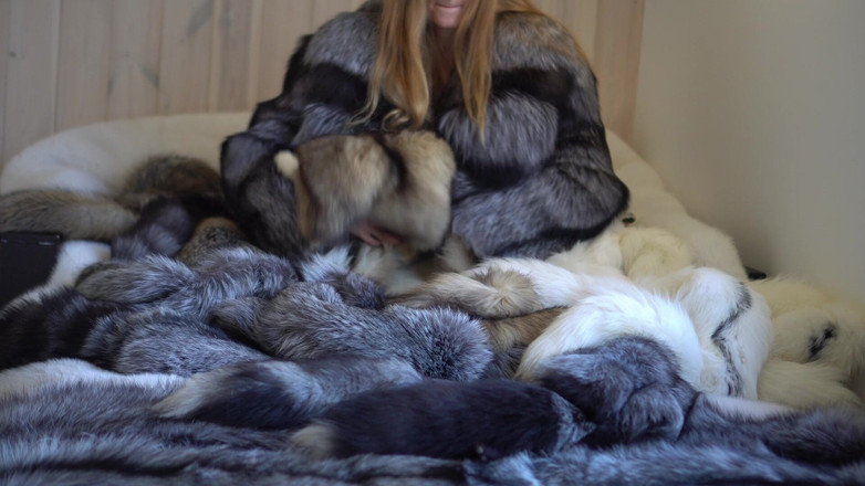 Ruda Cat: 털을 많이 가지고 놀고 놀아! 털 수레를 입은 자위