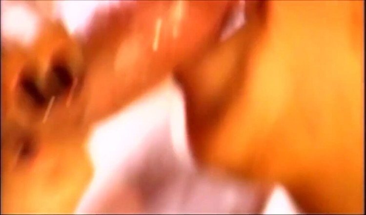 Double Penetration Party: Two big cocks for a hot sexy brunette