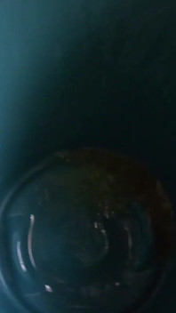 BBW Goddess Pee Bucket