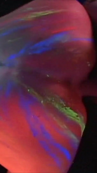 Glow Your Vibe - Blacklight Body Paint Sex