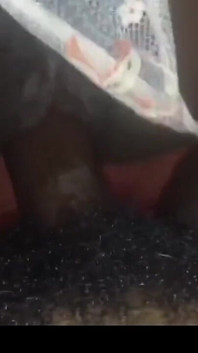 Got Her Ass Fucked Hard by a Total Stranger