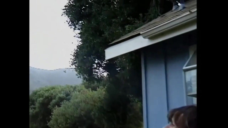 FM Video films: Tomova kabina (celý film)