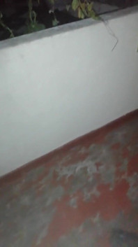 My Real House Maid Was Just About to Get It