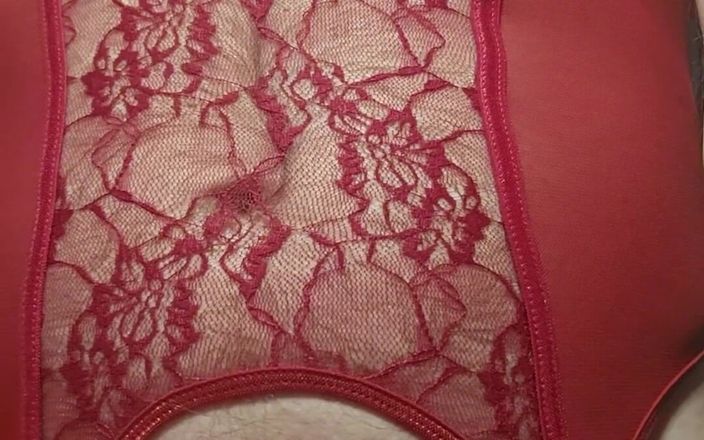 Fantasies in Lingerie: My Sexy New Red Bustier Panties and Stockings