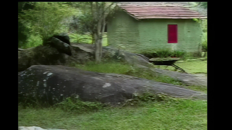 Shemale Vintage MegaStore: Trans Fickt Mann