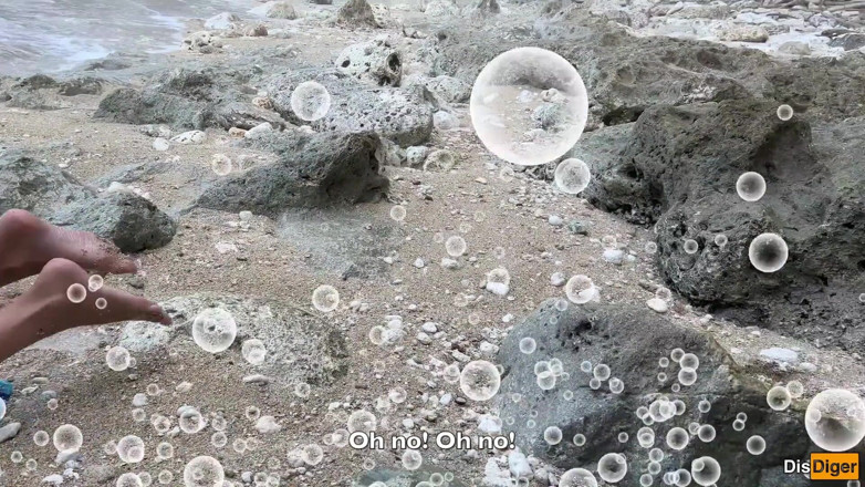 Dis Diger: 我在一个岛上遇到了一个美丽的美人鱼，并给了她的腿，这样