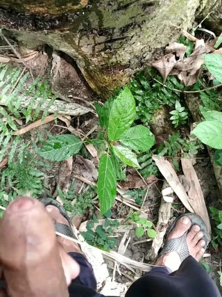 Desimast7: Wielki kutas sika na drzewo