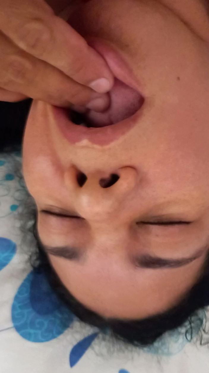 Valkyrie and Luigy Couple: 24. 프로바이오틱스가 풍부한 건강한 스낵 Valkyrie용 우유 요구르트