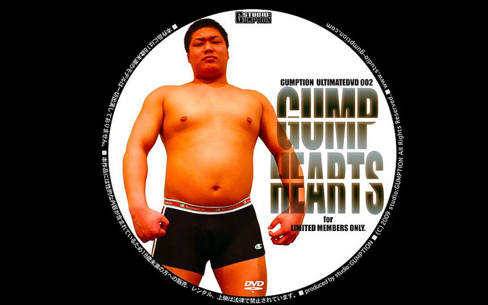 Studio Gumption: Gump Hearts