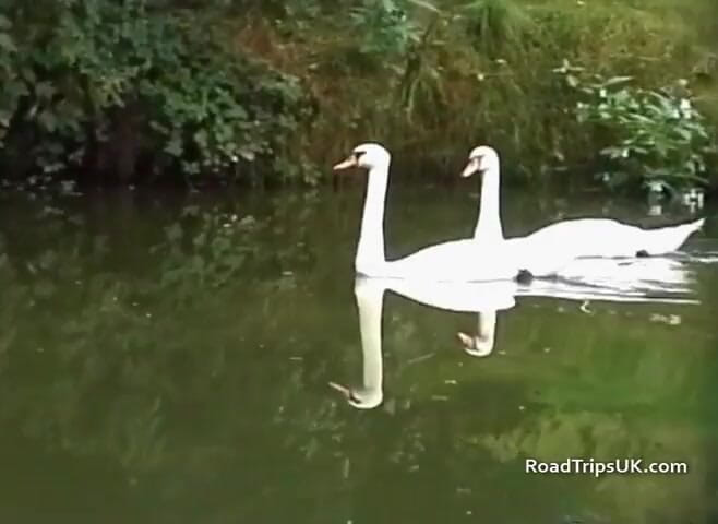 Road Trips UK: Roadtrip to Kent: Beck &amp; Louise