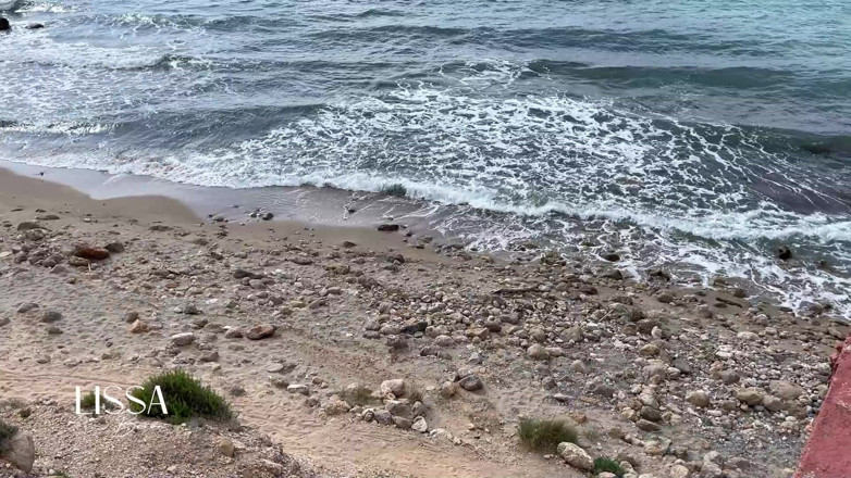 Lissa Brown: Vlogg Lissa Brown åker till en nudiststrand för att spela in...