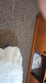 Blue Nasty Suck and Fuck
