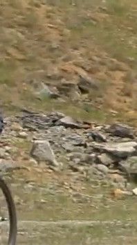 Two young sluts get fucked outdoors by a man with a big hard cock