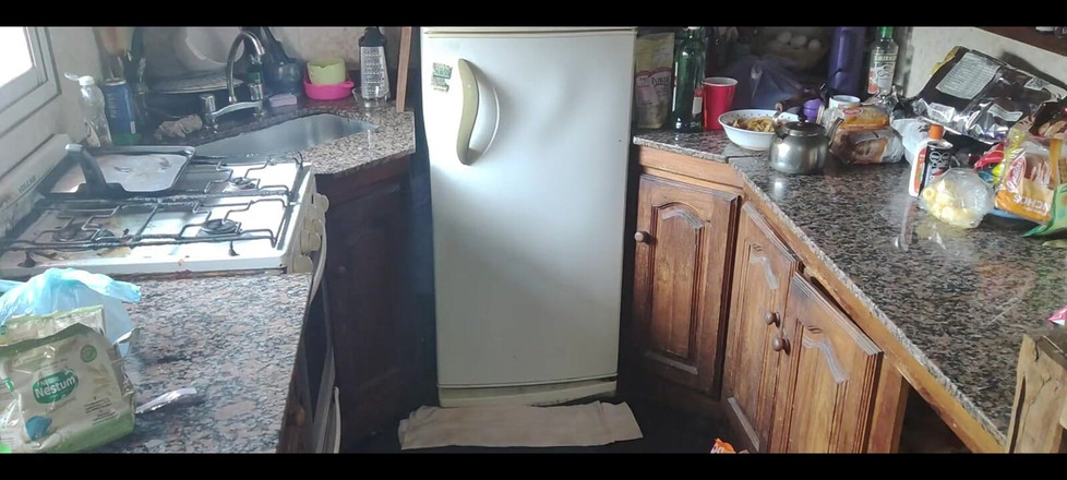 RavenHearth666VIP: День прибирання 