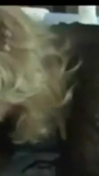 BBC Addiction - 100 Amateur and Home Made Porn Videos. MILFs Addicted to BBC and Interracial Bangin