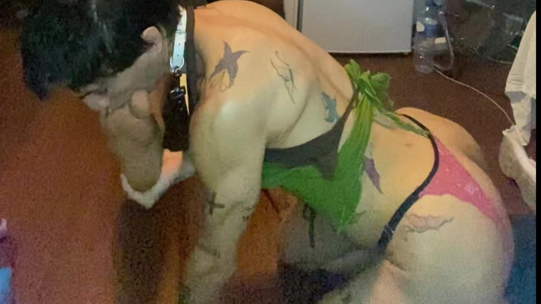 Wesley Bull: Dobrze wyszkolony uległy cieszący się moimi stopami