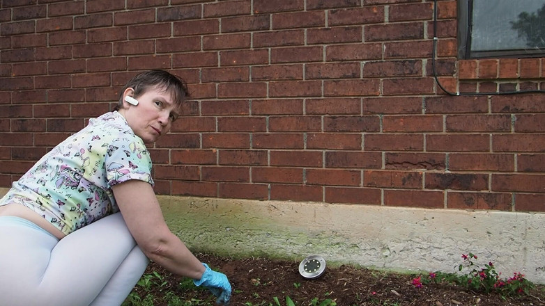 Aurora Willows: Diosa Aurora Willows orden personalizada fuera de la jardinería en...