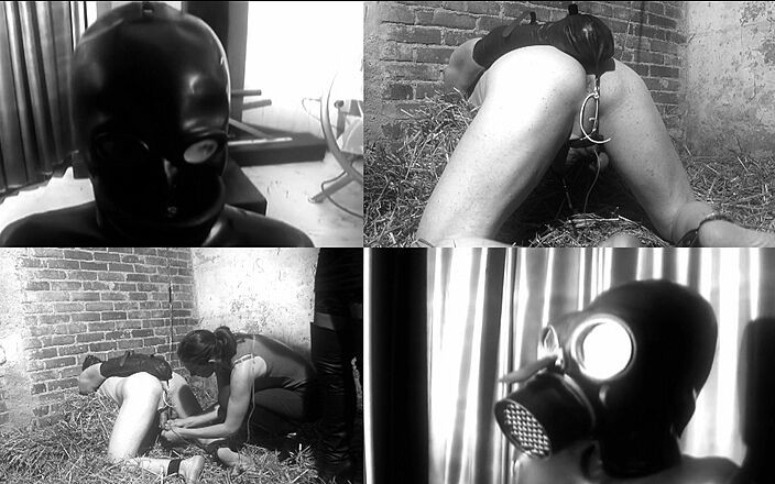 Deutsche Dominanz: Intrattenimento anale