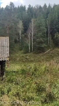Сільська незаймана з великим членом скуштувала член незнайомця, покритий спермою.