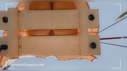 FoxyAleksa: Drobna naga cipka na huśtawce w parku. Masturbacja w krótkiej...